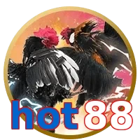 hot88
